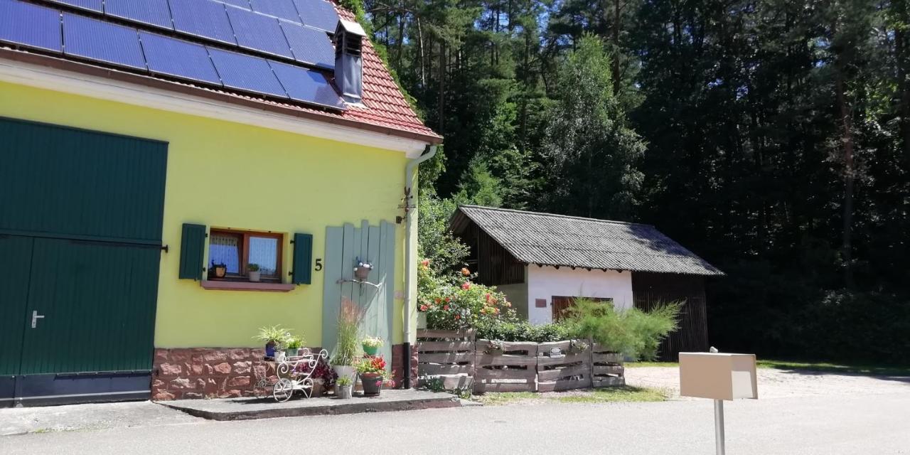 Villa Violeta à Dambach Extérieur photo